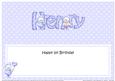 1st Birthday Henry Teddy Matching Large Dl Insert