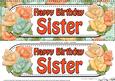 Large Dl Happy Birthday Sister Roses Card & 3D Decoupage