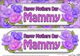 Large Dl Mothers Day Mammy Roses Card & 3D Decoupage