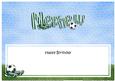 Happy Birthday Nephew Football Matching Large Dl Insert