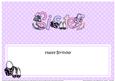 Birthday Sister Shoes & Handbags Matching Large Dl Insert