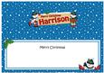 Xmas Harrison Snowmen Signpost Large Dl Matching Insert