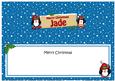 Xmas Jade Penguins Signpost Large Dl Matching Insert