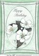 A4 Apple Blossom - Birthday