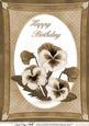 A4 Pansy - Birthday