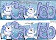 Merry Christmas Caleb Polar Bears Large Dl & 3D Decoupage