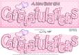 Large Dl New Baby Girl Congratulations 3D Decoupage