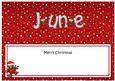 Xmas June Robins Matching Large Dl Insert