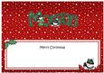 Xmas Morgan Snowmen Matching Large Dl Insert