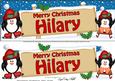 Xmas Hilary Penguins Signpost Large Dl Easicut Decoupage