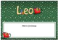 Xmas Leo Sleigh Matching Large Dl Insert