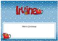 Xmas Irvine Sleigh Matching Large Dl Insert