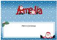 Xmas Amelia Santa Matching Large Dl Insert