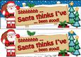 Xmas Dear Santa  -  Signpost Lge Dl Easicut Decoupage