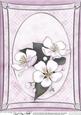 A4 Apple Blossom