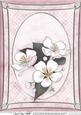 A4 Apple Blossom