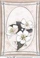 A4 Apple Blossom