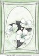 A4 Apple Blossom