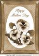 A4 Pansy - Mothers Day