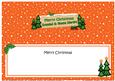Xmas Grandad & Nonna Dierdre Trees Large Dl Insert