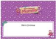 Xmas Mummy Robin Signpost Large Dl Matching Insert
