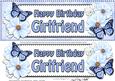 Large Dl Birthday Girlfriend Floral Butterflies 3D Decoup