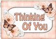 A4 Thinking of You Flowers & Butterflies Card Topper