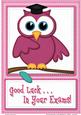 A4 Wise Owl Exam Good Luck Felties Card Topper