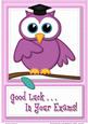 A4 Wise Owl Exam Good Luck Felties Card Topper