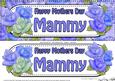 Large Dl Mothers Day Mammy Roses Card & 3D Decoupage