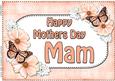A4 Mothers Day Mam Flowers & Butterflies Card Topper
