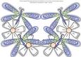 Dragonflies Shaped Card