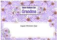 Mothers Day Grandma Daisies Floral Large Dl Matching Insert