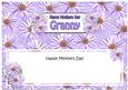 Mothers Day Granny Daisies Floral Large Dl Matching Insert