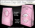 3D Teddy Tess's Heart Mothers Day Gift Bag Mini Kit