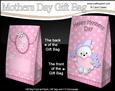 3D Teddy Ed's Heart Mothers Day Gift Bag Mini Kit