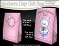 3D Teddy Ed's Rose Mothers Day Gift Bag Mini Kit