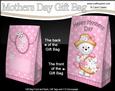 3D Teddy Tess's Flower Basket Mothers Day Gift Bag Mini Kit