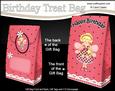 3D Girlz Fairy Fiz Birthday Gift Bag Mini Kit