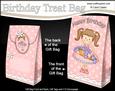 3D Girlz Liz's Flower Basket Birthday Gift Bag Mini Kit