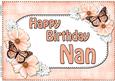 A4 Birthday Nan Flowers & Butterflies Card Topper