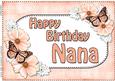 A4 Birthday Nana Flowers & Butterflies Card Topper
