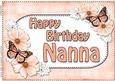 A4 Birthday Nanna Flowers & Butterflies Card Topper