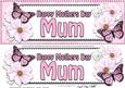 Large Dl Mothers Day Mum Floral Butterflies 3D Decoupage