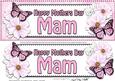Large Dl Mothers Day Mam Floral Butterflies 3D Decoupage