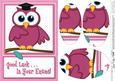 A5 Wise Owl Exam Good Luck Felties Oval Pyramage Topper