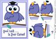 A5 Wise Owl Exam Good Luck Felties Oval Pyramage Topper