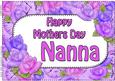 A4 Mothers Day Nanna Time for Roses Card Topper