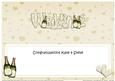 Kate & Steve Wedding Champagne Matching Large Dl Insert
