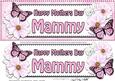 Large Dl Mothers Day Mammy Floral Butterflies 3D Decoupage